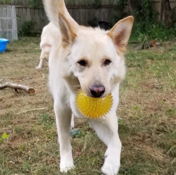 Meet your Posher, Shannon - Picture 1 of 1